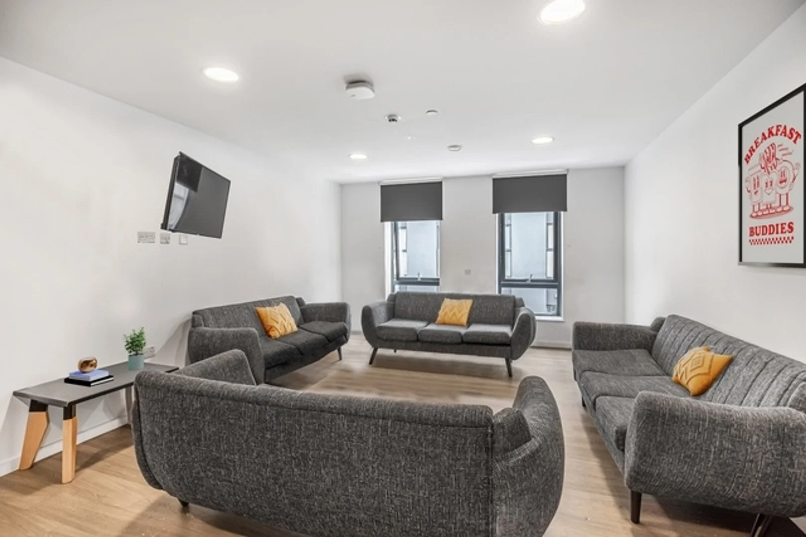 'de modern olanaklara sahip öğrenci dostu oda
