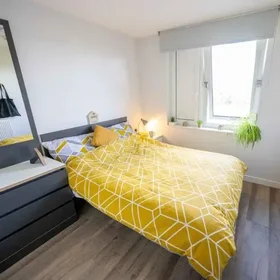 Quarto compartilhado em residência em Hull HU6 7EL, United Kingdom, imagem 19 de 20