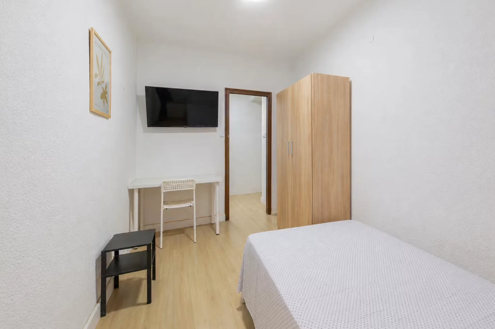 Affordable room for students with ample lighting in 