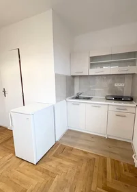 Entire apartment at K Prokopávce, Plzeň 1, image 8 of 10