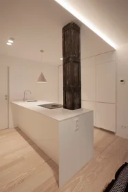 Entire apartment at Plaza del Buen Pastor, Centro, image 6 of 10
