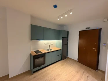 Appartamento intero in Kefallinias, Athens, immagine 1 di 10