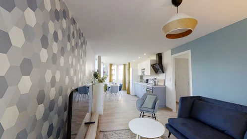 Alquiler de habitaciones por meses en Toulouse