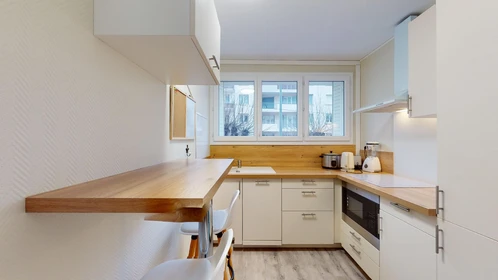 Privatzimmer in der 80 Boulevard Lafayette, bild 25 von 32
