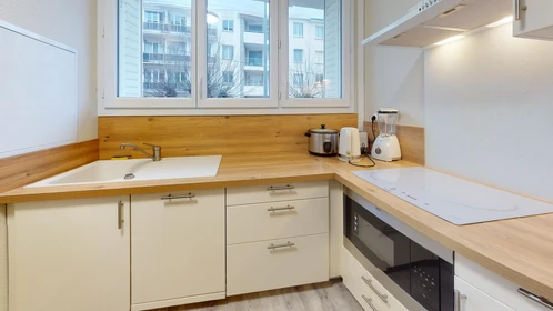 Privatzimmer in der 80 Boulevard Lafayette, bild 26 von 32