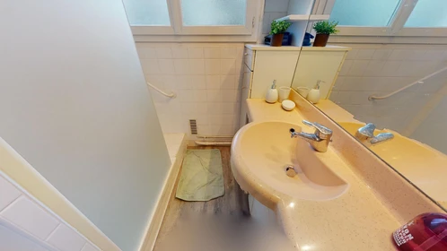 Privatzimmer in der 80 Boulevard Lafayette, bild 31 von 32
