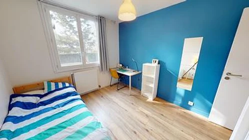 Chambre à louer dans un appartement en colocation à Saint-martin-d-heres