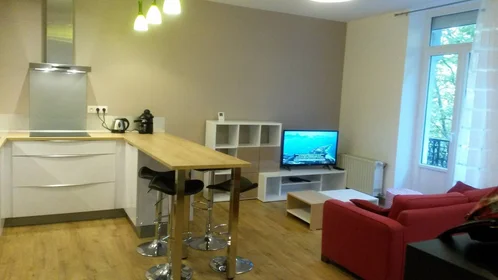 Private room at Saint-Étienne, 42100, image 1 of 10