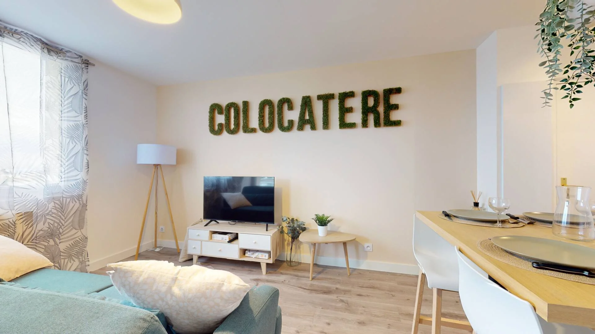 Stanza economica per studenti con ampia illuminazione in 