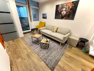 Privatzimmer in der Rue Sainte Marguerite, Liège, bild 1 von 9