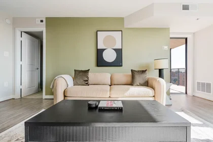 Alojamiento entero en North Veitch Street, Logan Circle/Shaw, imagen 2 de 10