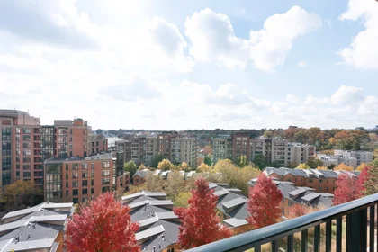 Alojamiento entero en North Veitch Street, Logan Circle/Shaw, imagen 6 de 10