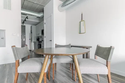 Apartamento inteiro em West Erie Street, River North, imagem 6 de 10