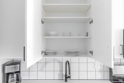 Apartamento inteiro em West Erie Street, River North, imagem 8 de 10