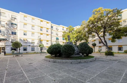 Quarto privado em Pl. los Pinos, 11405 Jerez de la Frontera, Cádiz, Spain, imagem 26 de 38