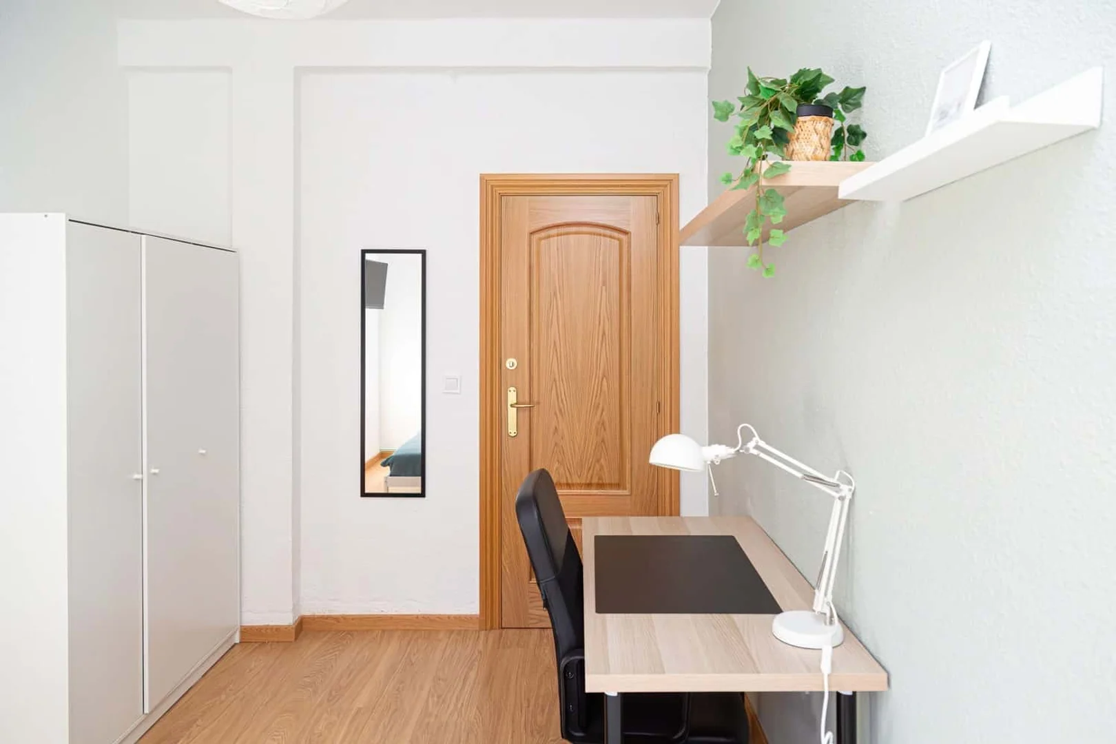Stanza economica per studenti con ampia illuminazione in 
