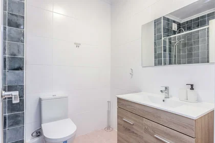 Quarto privado em C. Gran Canal, 2, 1º a, 28804 Alcalá de Henares, Madrid, Spain, imagem 49 de 49