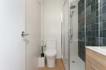 Privatzimmer in der C. del Empecinado, 32, 5º puerta 1, 28801 Alcalá de Henares, Madrid, Spain, bild 41 von 41