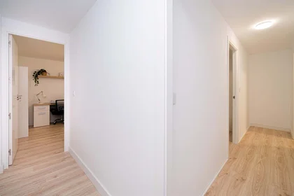 Private room at C. Antonio Pascual Quiles, 5, 2º, 03201 Elx, Alicante, Spain, image 21 of 29