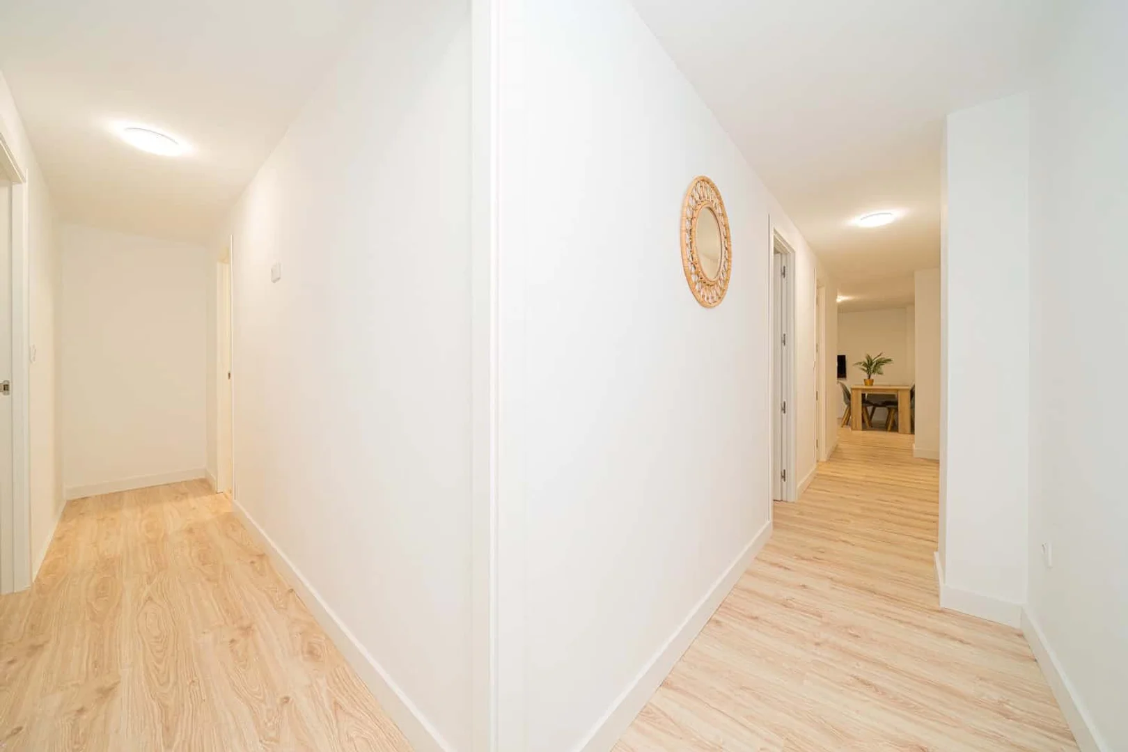 Budget-friendly student room close to campus in 