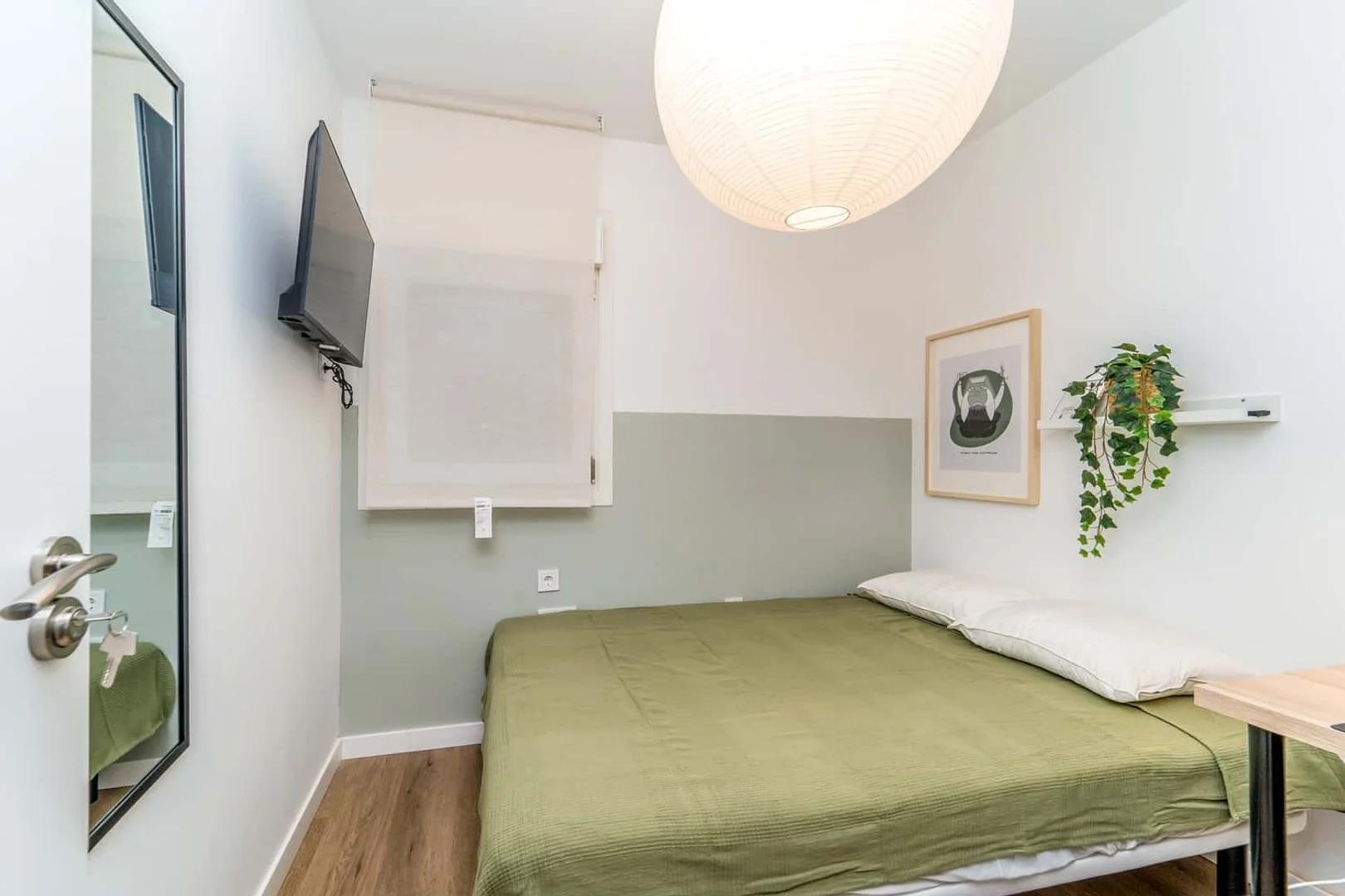Affordable room for students with ample lighting in 