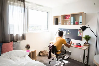 Private room in residence at 71, Boulevard Côte Blatin, image 27 of 49