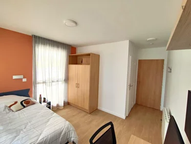 Private room in residence at 71, Boulevard Côte Blatin, image 4 of 49