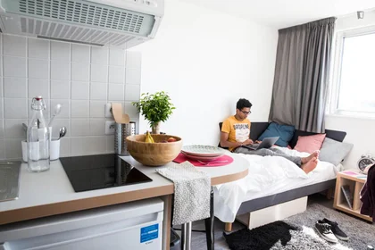 Private room in residence at 71, Boulevard Côte Blatin, image 33 of 49