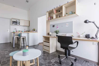 Private room in residence at 71, Boulevard Côte Blatin, image 41 of 49