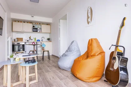 Private room in residence at 71, Boulevard Côte Blatin, image 47 of 49