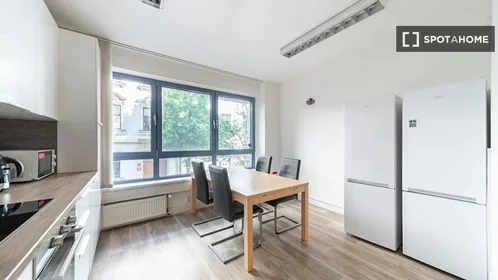 Stanza privata in Záhřebská, immagine 12 di 14