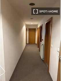Stanza privata in Záhřebská, immagine 9 di 14