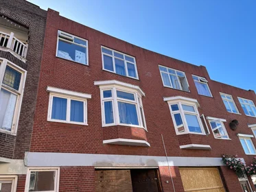 Private room at Tuinbouwdwarsstraat, image 1 of 8