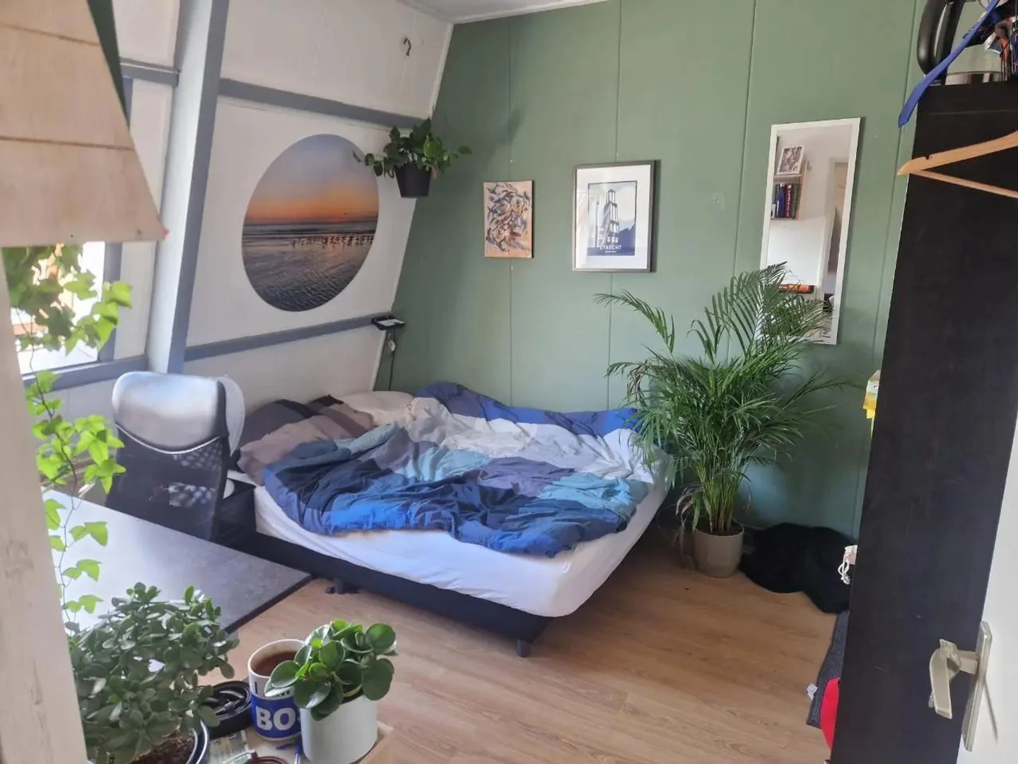 经济实惠的学生房间，在有充足的照明