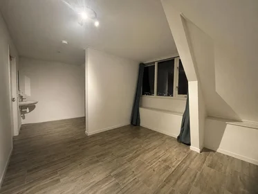 Prywatny pokój Deurningerstraat, obraz 1 7
