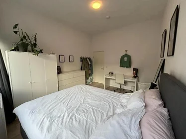 Chambre privée à Zuiderhagen, image 6 de 9