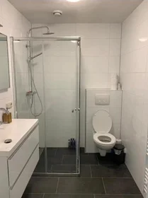 Chambre privée à Zuiderhagen, image 9 de 9