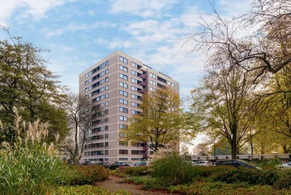 Całe miejsce Ruimzicht, Amsterdam Nieuw-West, obraz 1 10