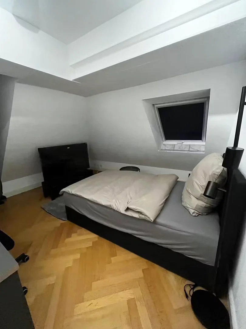 Chambre à louer dans un appartement d'étudiant à , entièrement meublée