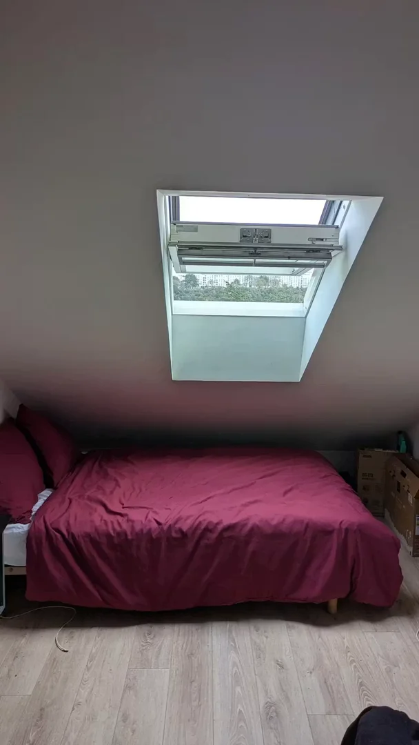 Habitación asequible para estudiantes con buena iluminación en 