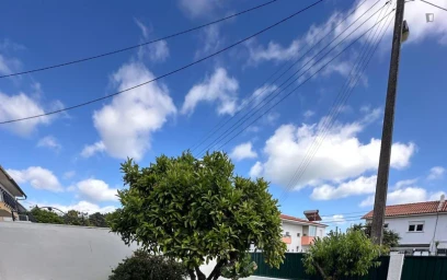 Prywatny pokój Rua Dom Francisco Coutinho, obraz 20 23