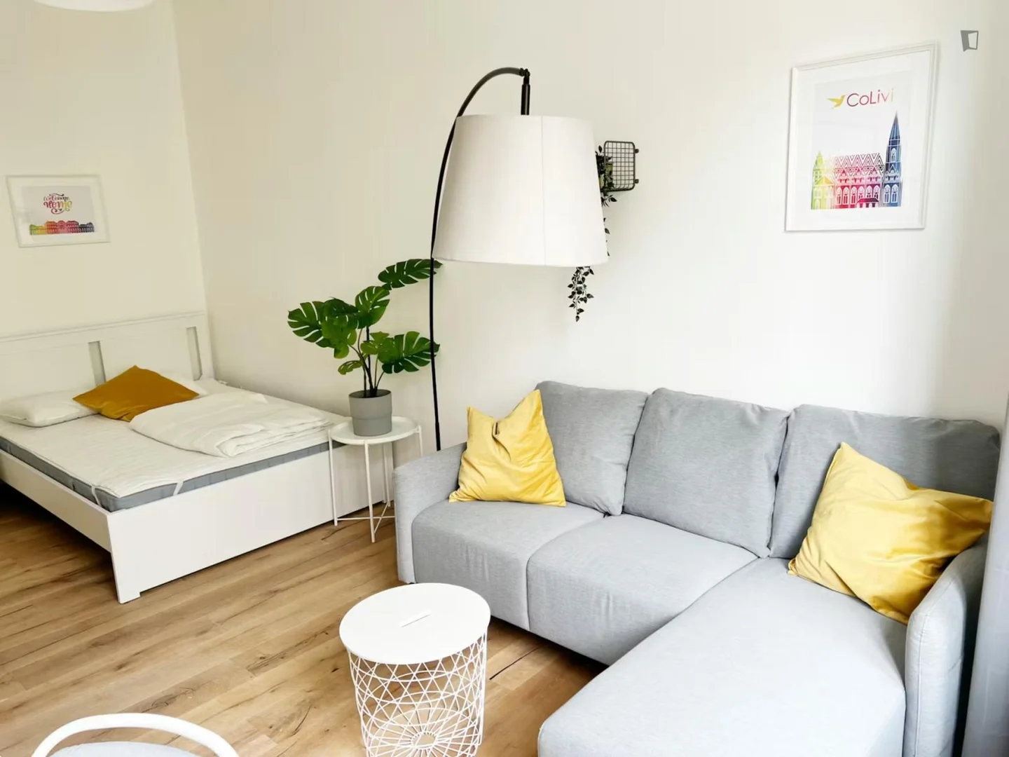 Affordable room for students with ample lighting in 