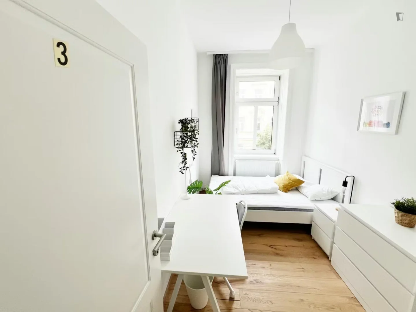 Room for rent in student apartment in , fully furnished
