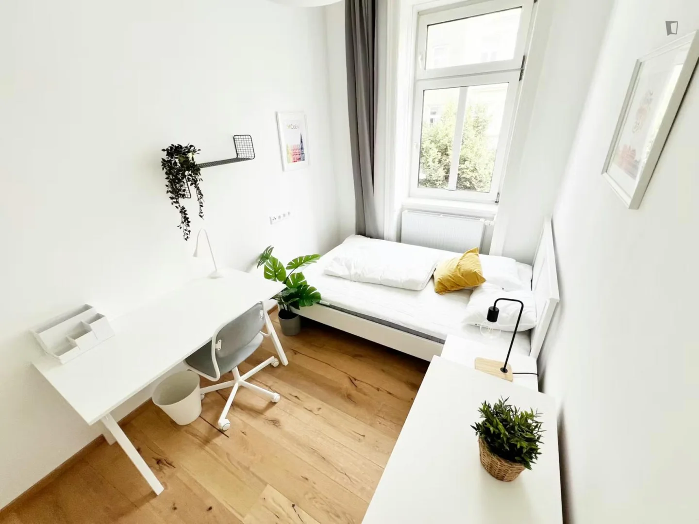 Affordable room for students with ample lighting in 