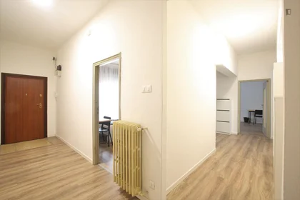 Chambre privée à Via Giuseppe Soli, image 17 de 19