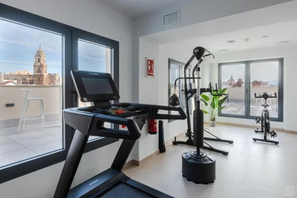 Stanza privata in District Centro, Malaga, immagine 10 di 20