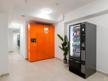 Stanza privata in District Centro, Malaga, immagine 18 di 20