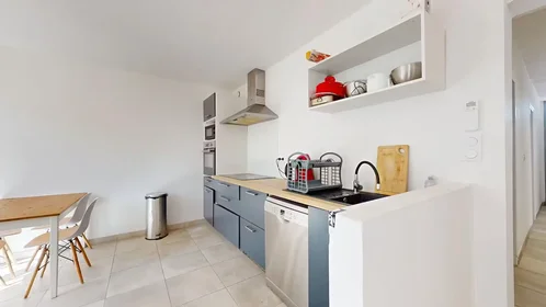 Stanza privata in Rue Henri Desbals, Fontaine Lestang-Bagatelle-Papus, immagine 6 di 10