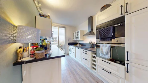 Stanza privata in 1 Rue Commandant Charcot, 69005 Lyon, France, immagine 1 di 10