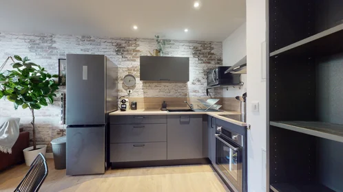 Quarto privado em 199 rue Calvin - Résidence 161 allée François Chatillon Bâtiment F, imagem 8 de 15